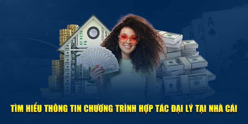 Giới thiệu tổng quan về đại lý Dabet